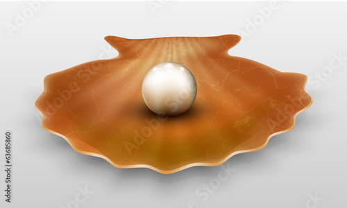 Vector pearl in shell