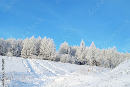 Beautiful winter landscape © Devyatkin