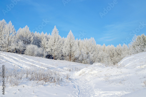 Beautiful winter landscape © Devyatkin