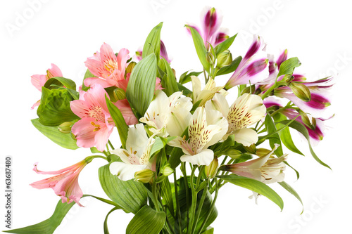 Fototapeta Naklejka Na Ścianę i Meble -  Alstroemeria flowers isolated on white