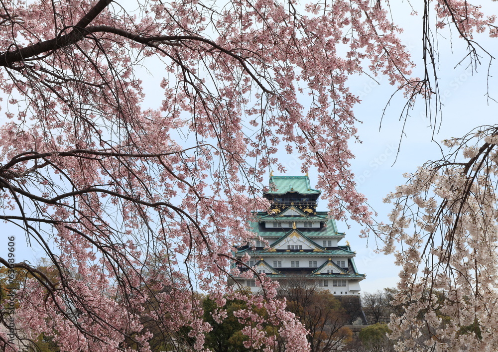 大阪城と枝垂桜