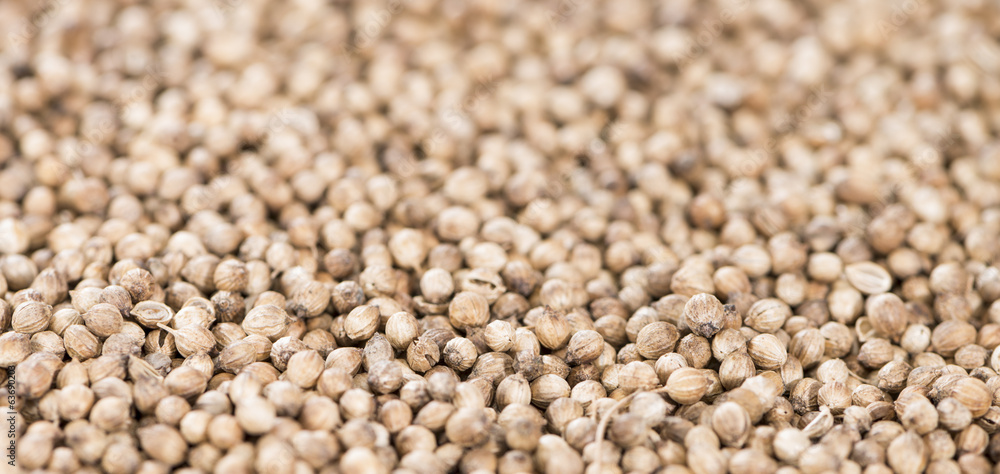Coriander Seeds (background image) Coriander Seeds (background image)