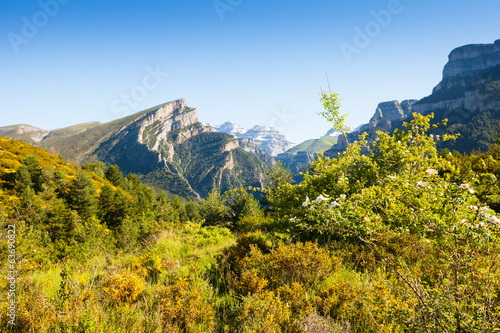 View of Pyrenees mountains landscape photo