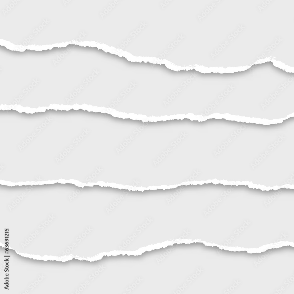 Fototapeta premium torn paper set, vector illustration