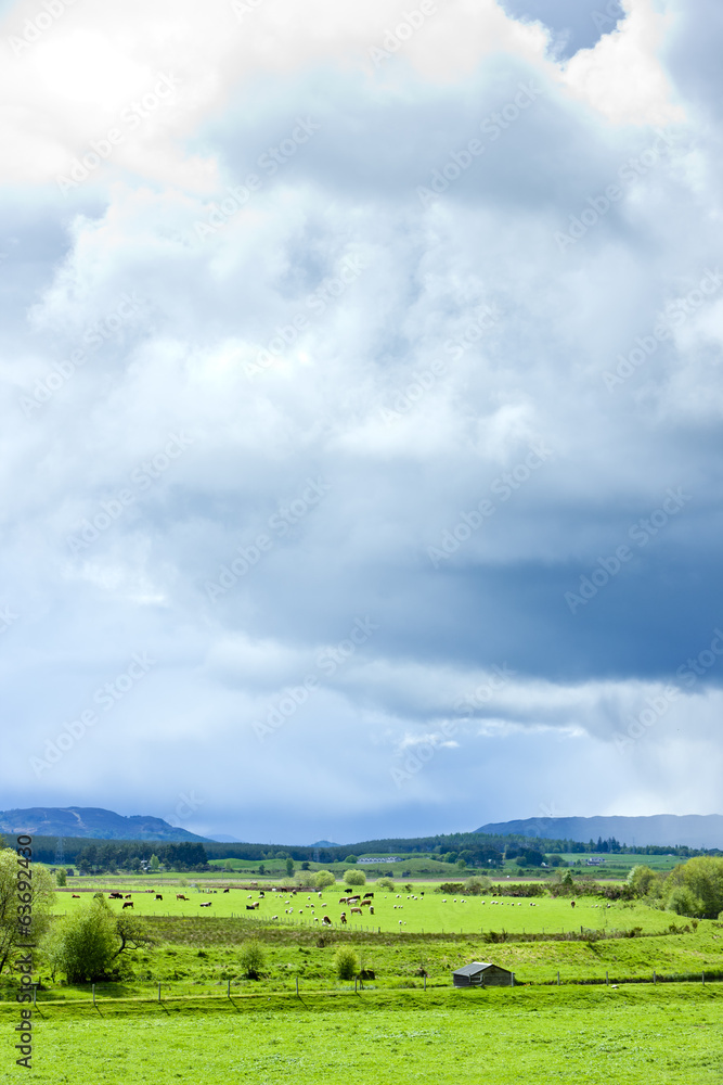 landscape of Strathspey Valley, Highlands, Scotland landscape of Strathspey Valley, Highlands, Scotland