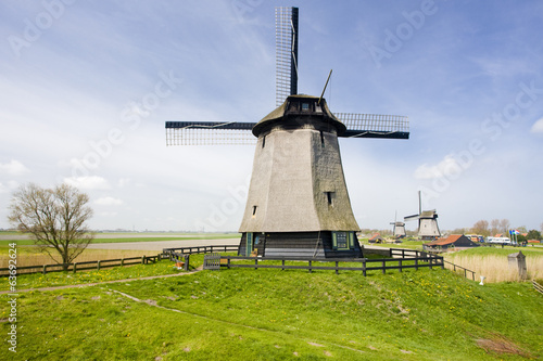 windmills near Alkmaar, Netherlands
