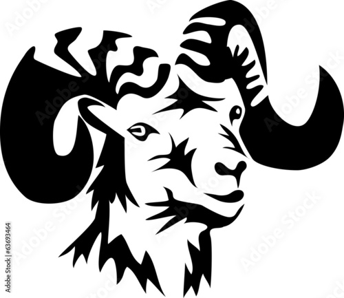 head of ram