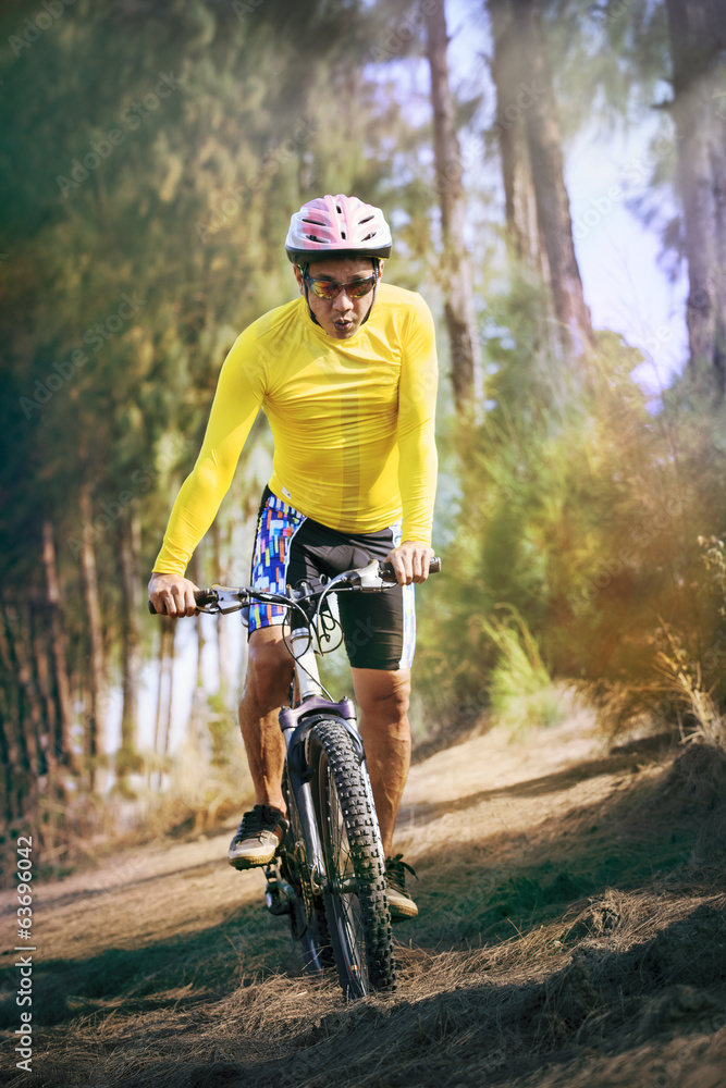 young man riding mountain bike mtb in jungle track use for sport young man riding mountain bike mtb in jungle track use for sport