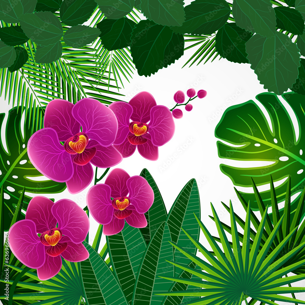 Naklejka premium Floral design background. Orchid flowers.