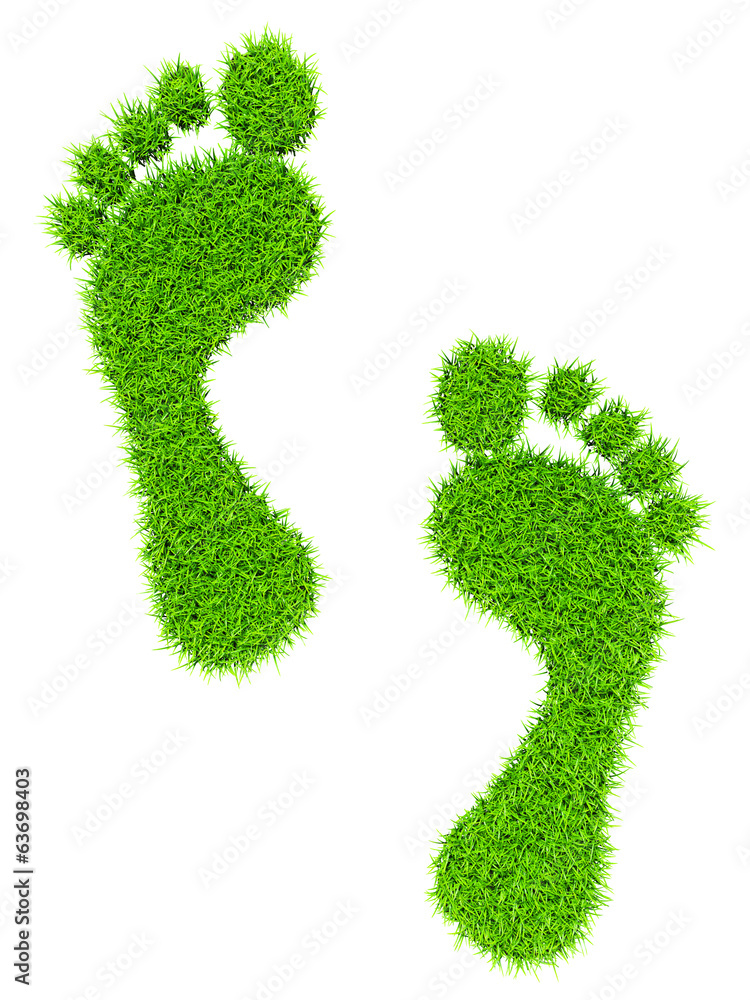 Grass footprints Grass footprints