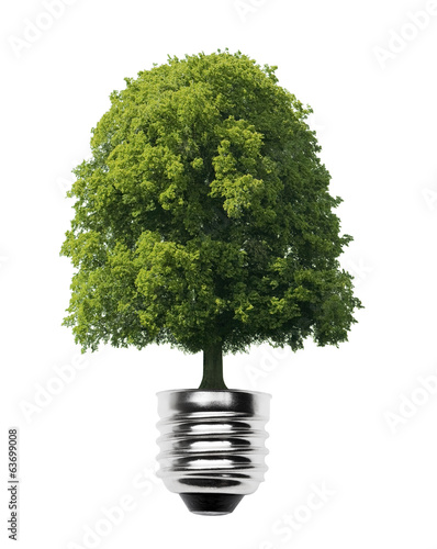 Glühlampe mit Baum