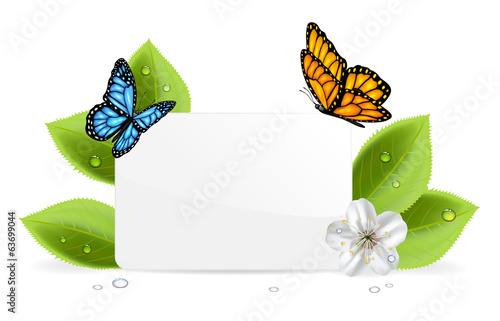 Paper card with butterflies