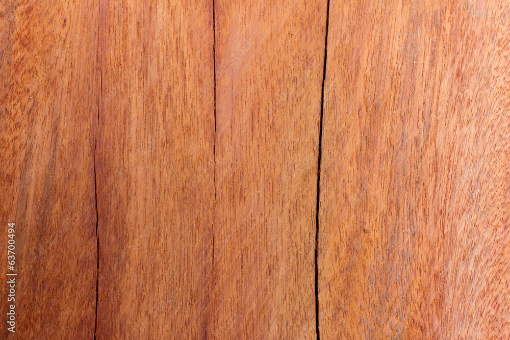 Obraz premium Iron wood background, Xylia xylocarpa Taub var. Kerrii Nielson,