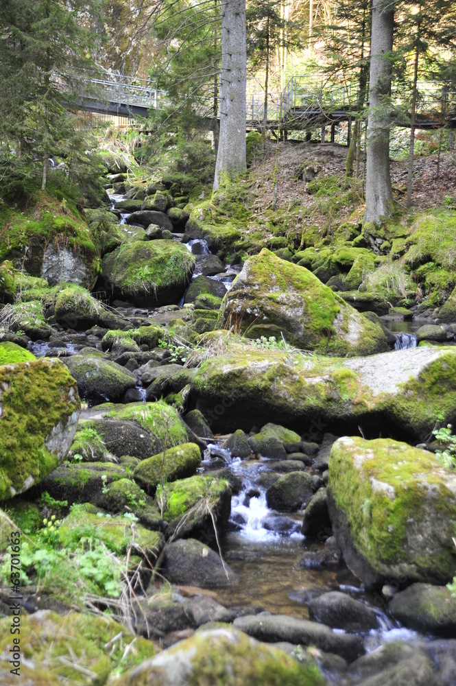 Triberg Waterfalls in Black Forest (Schwarzwald), Germany Triberg Waterfalls in Black Forest (Schwarzwald), Germany