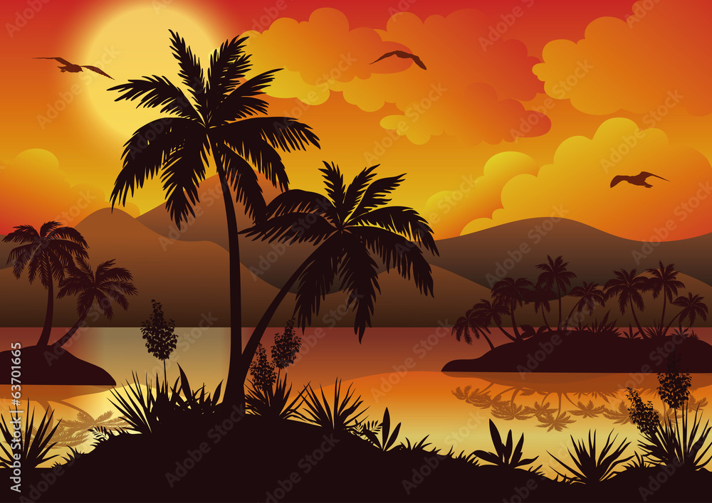 Tropical islands, palms, flowers and birds