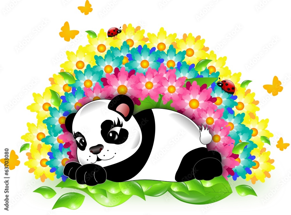 Obraz premium Panda with rainbow
