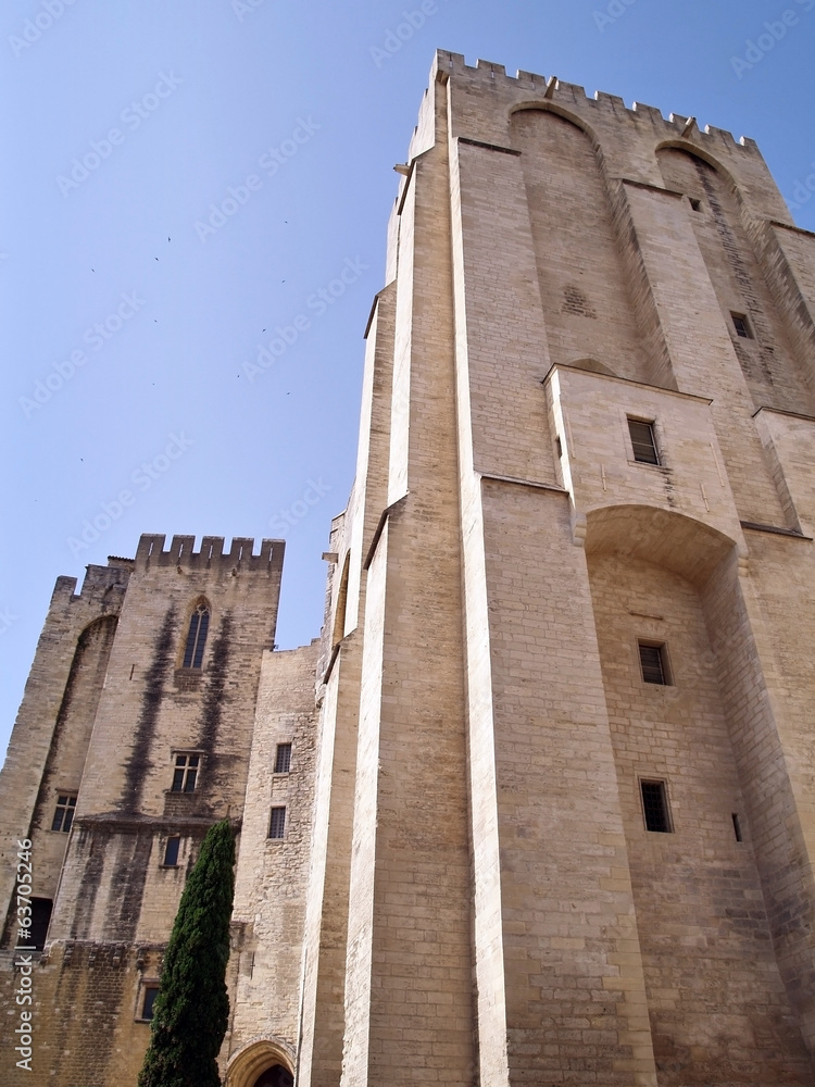the Popes' palace in Avignon, France