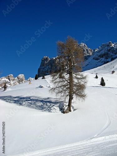 vigo di fassa