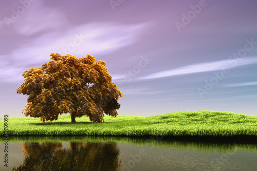Spring landscape