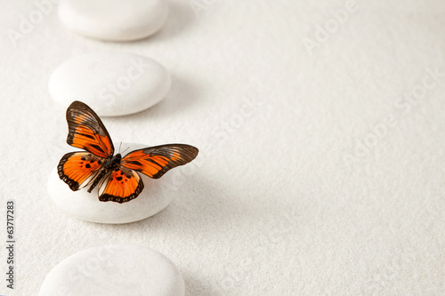 Background with rocks and butterfly
