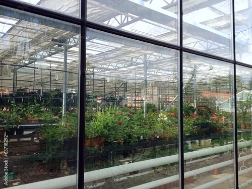 greenhouse