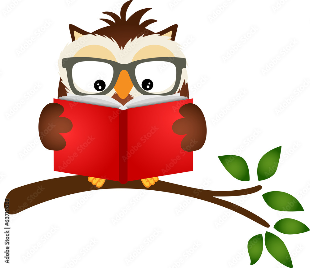 Obraz premium Owl reading a book on tree branch