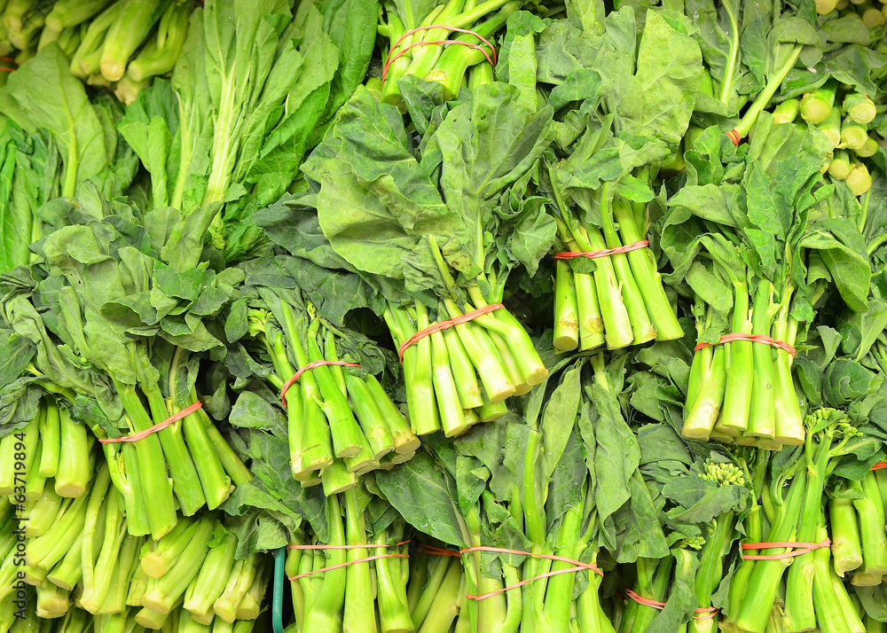 Fototapeta premium Chinese Broccoli