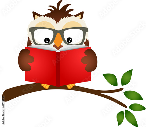 Owl reading a book on tree branch