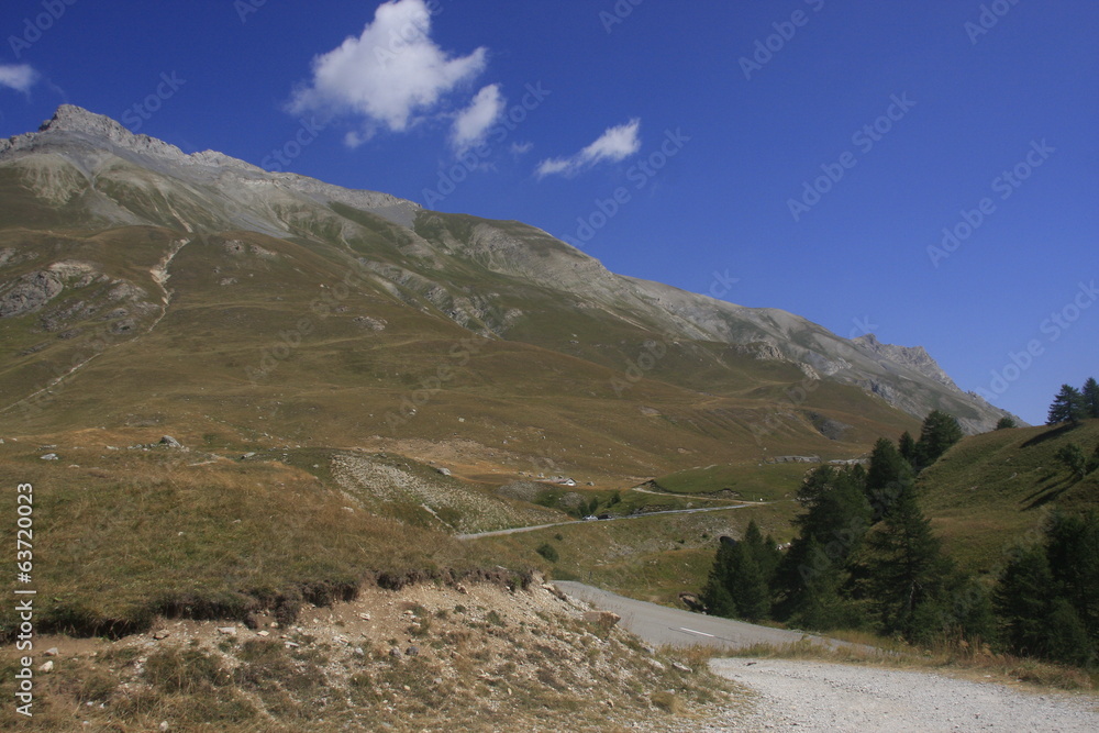Fototapeta premium dans les hautes Alpes