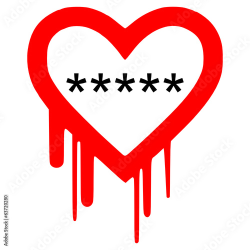 Heartbleed bug