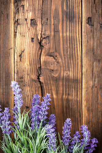 Fototapeta Naklejka Na Ścianę i Meble -  Lavender