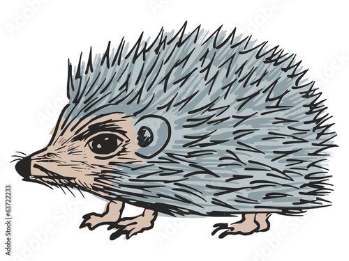 Hedgehog
