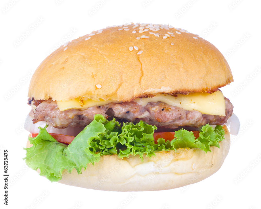pork cheese burger isolated on a white background pork cheese burger isolated on a white background