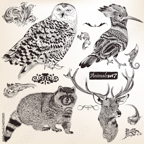 Collection of vector hand drawn animals