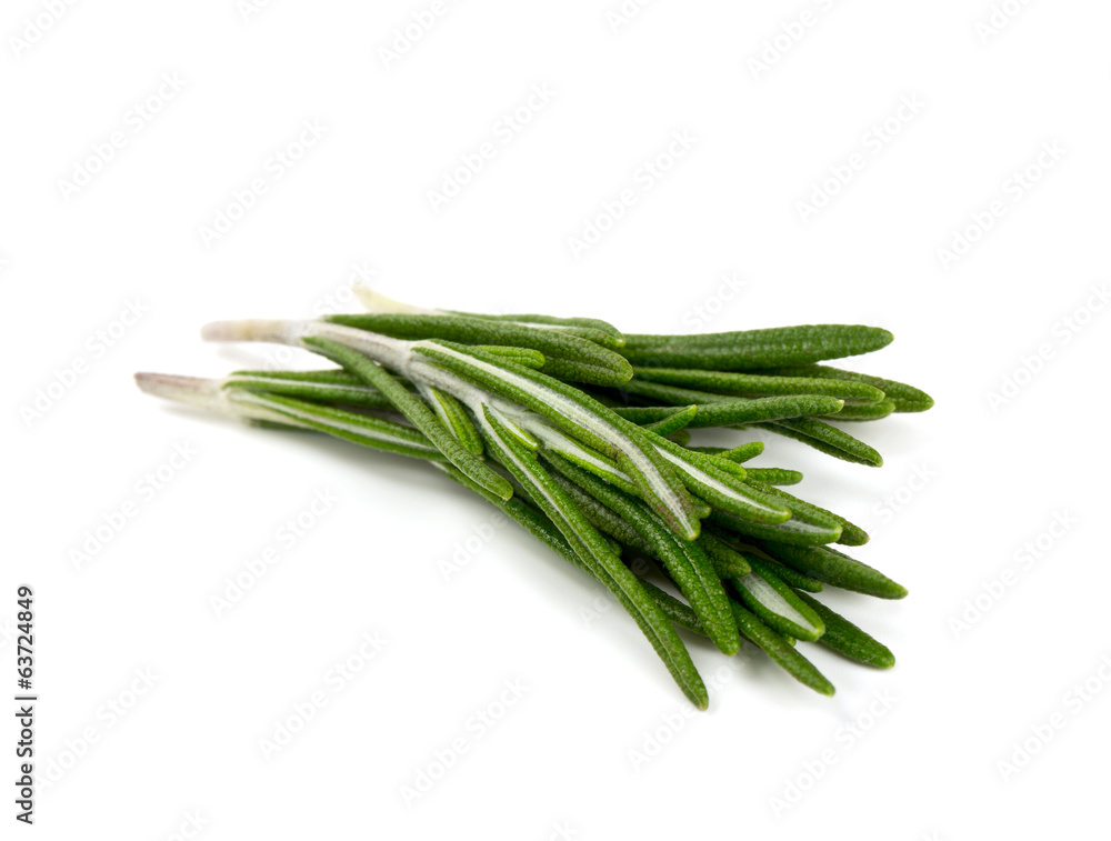 twigs of rosemary isolated on white twigs of rosemary isolated on white