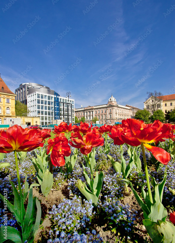 Colorful capital of Croatia Zagreb