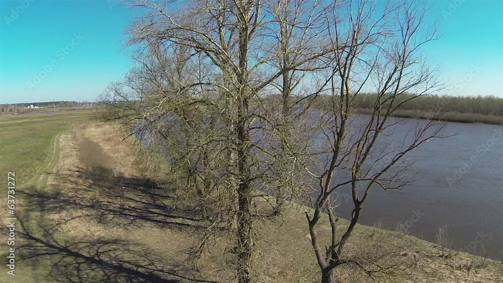 Group of trees and river in the spring.Aerial Group of trees and river in the spring.Aerial