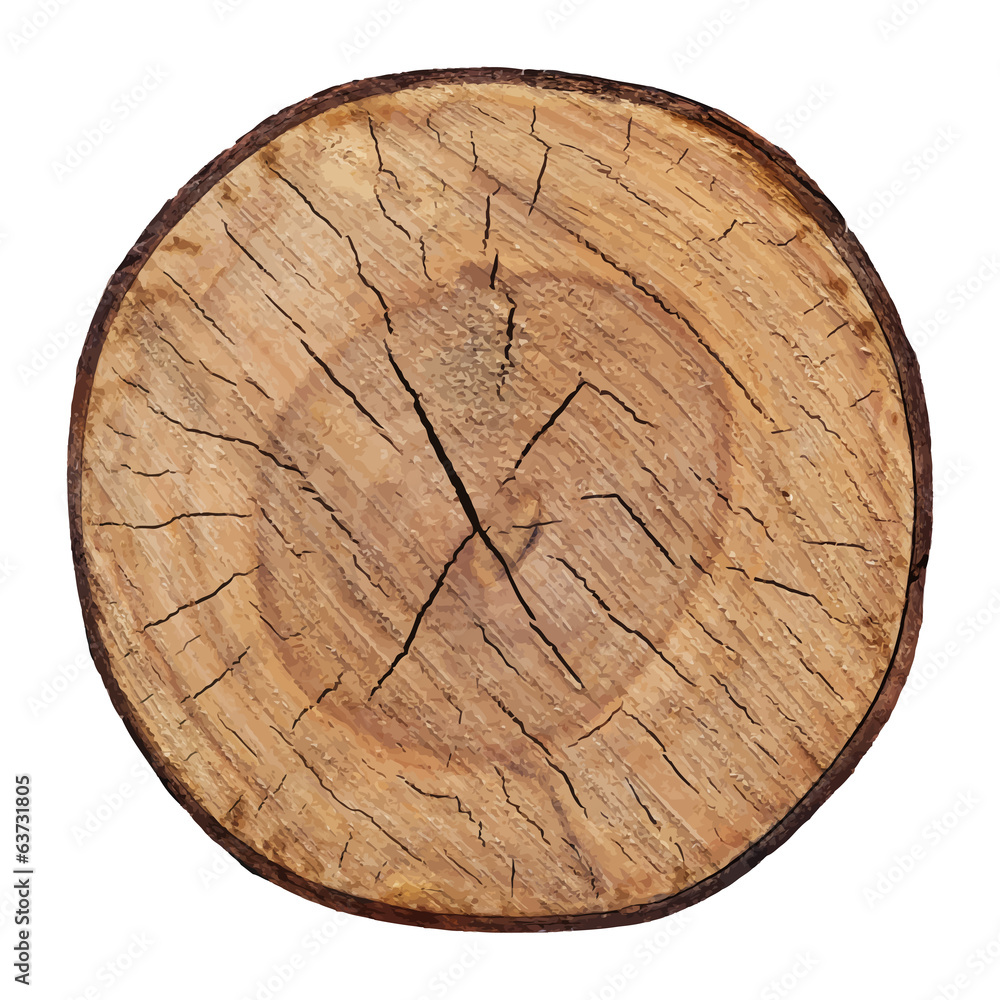 Wood texture of cutted tree trunk vector Wood texture of cutted tree trunk vector