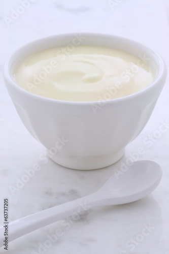 Fresh plain yogurt