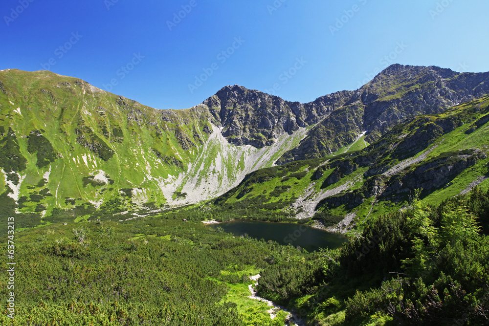 Slovakia mountain lake - Rohacske plesa, West Tatras