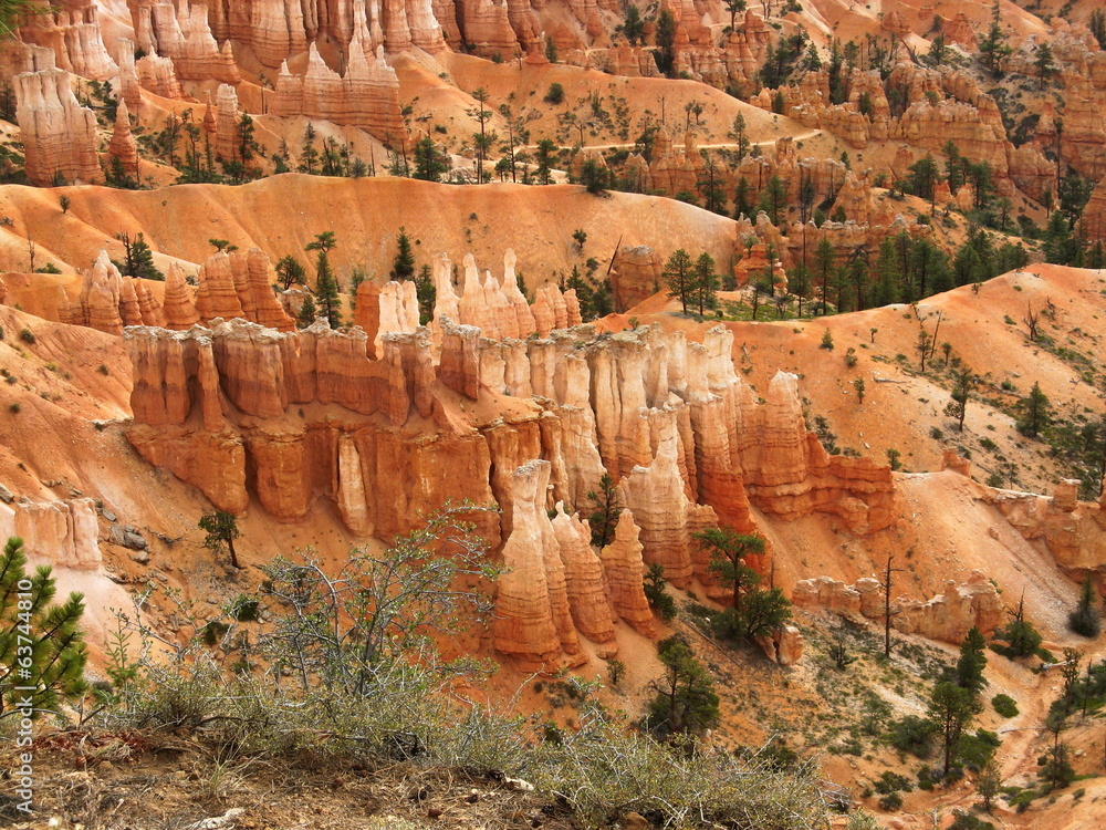 USA - Utah - Bryce Canyon et ses concrétions orangées USA - Utah - Bryce Canyon et ses concrétions orangées