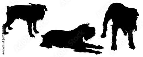 Vector silhouette of a dog.