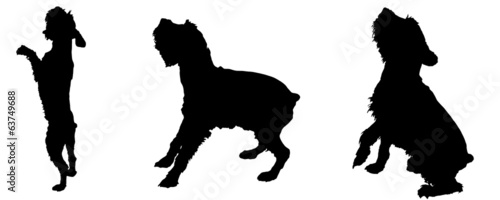 Vector silhouette of a dog.