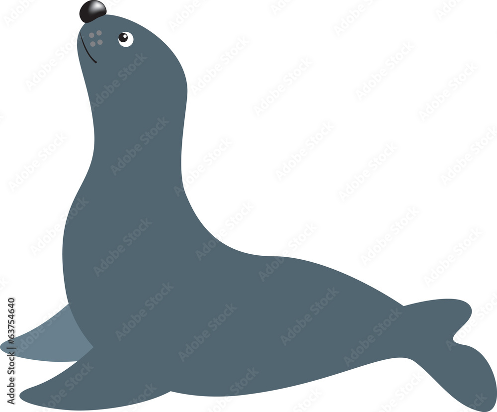 cute seal