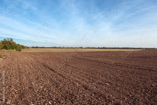 Agricultural field with soil and sky