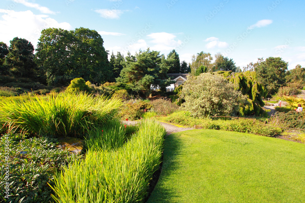 Obraz premium Beautiful summer garden