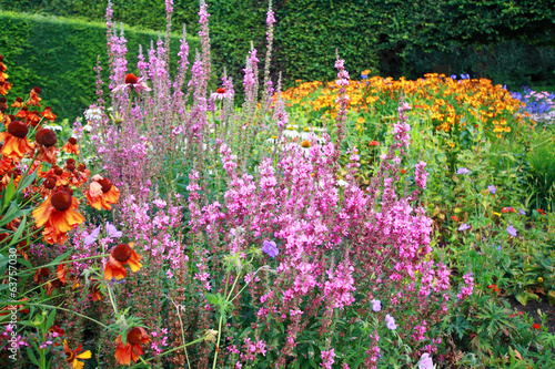Obraz na płótnie Various flowers in the garden w salonie