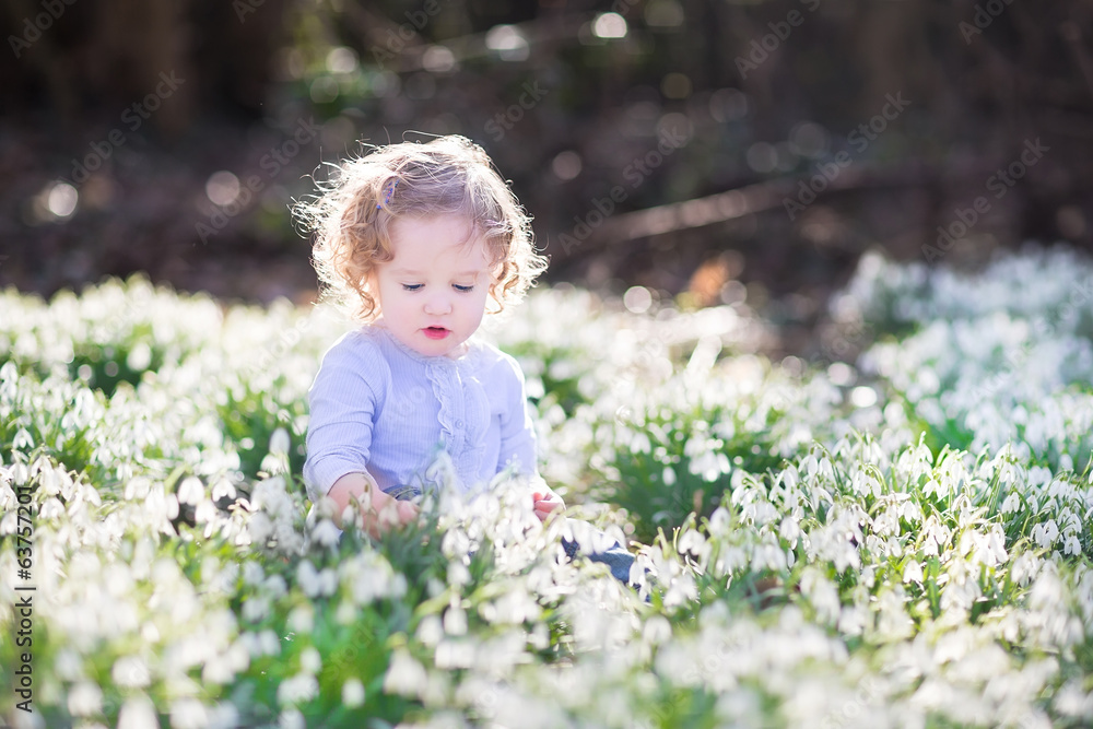 Beautiful curly toddler girl playing with first spring flowers