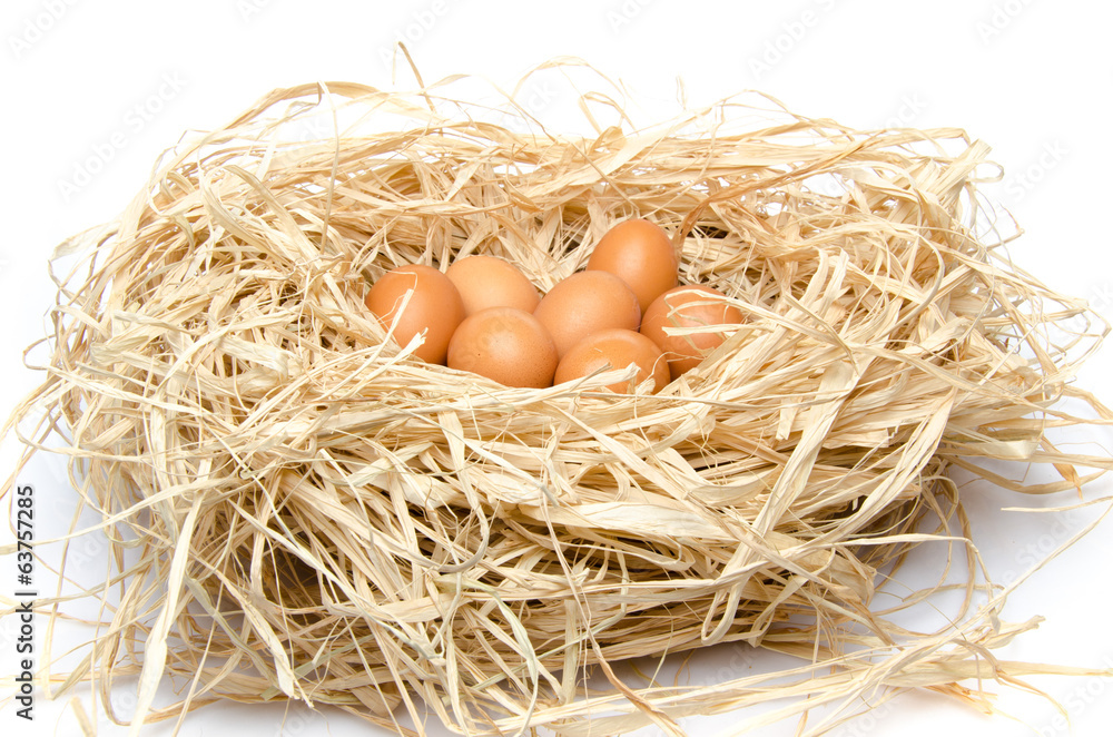 Eggs in a nest Eggs in a nest