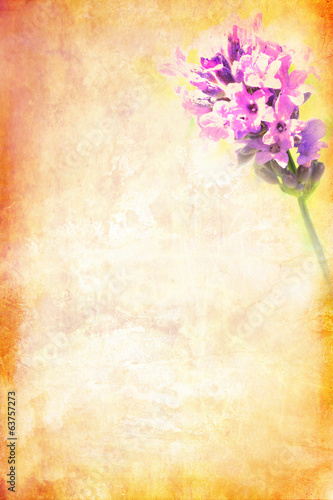 Grungy background with lavender